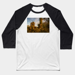 Crooked Forest - 2011 Baseball T-Shirt